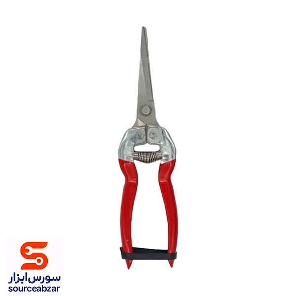 قیچی میوه چین